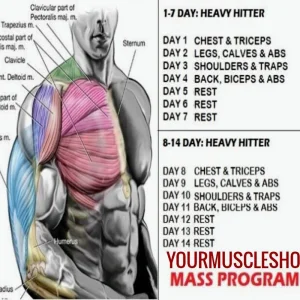 16834782986583084 (3)~2.webp