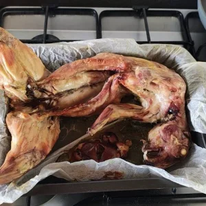 WhatsApp Image 2025-06-10 at 09.26.58_464ab809.webp