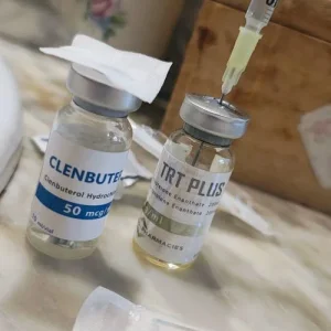 WhatsApp Image 2025-06-12 at 08.35.40_96d724f6.webp