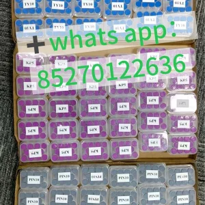 WhatsApp Image 2026-05-22 at 3.06.10 PM.webp