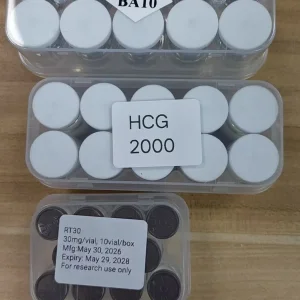 764d2154-1b06-4874-ab7a-afc4d2c47eef.webp