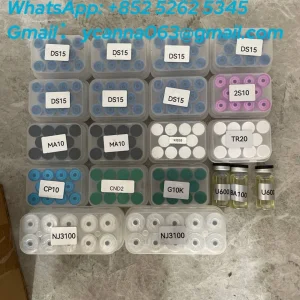 f5506078-e6fc-44aa-8e74-ff33d23210a5.webp