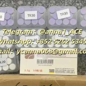 8171df95-c9ea-4cfd-9bcf-1f5ab14e7da2.webp