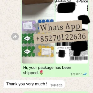 WhatsApp Image .webp