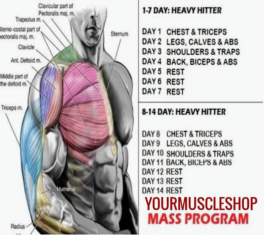 16834782986583084 (3)~2.webp