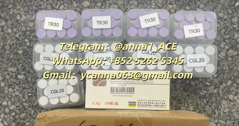 8171df95-c9ea-4cfd-9bcf-1f5ab14e7da2.webp