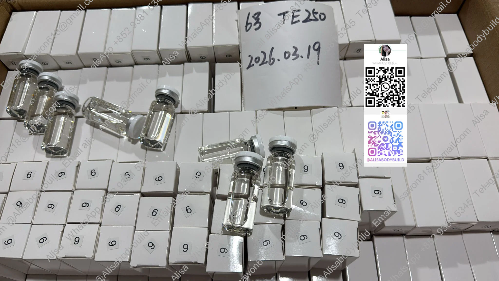 TE250 26319 2 +.webp