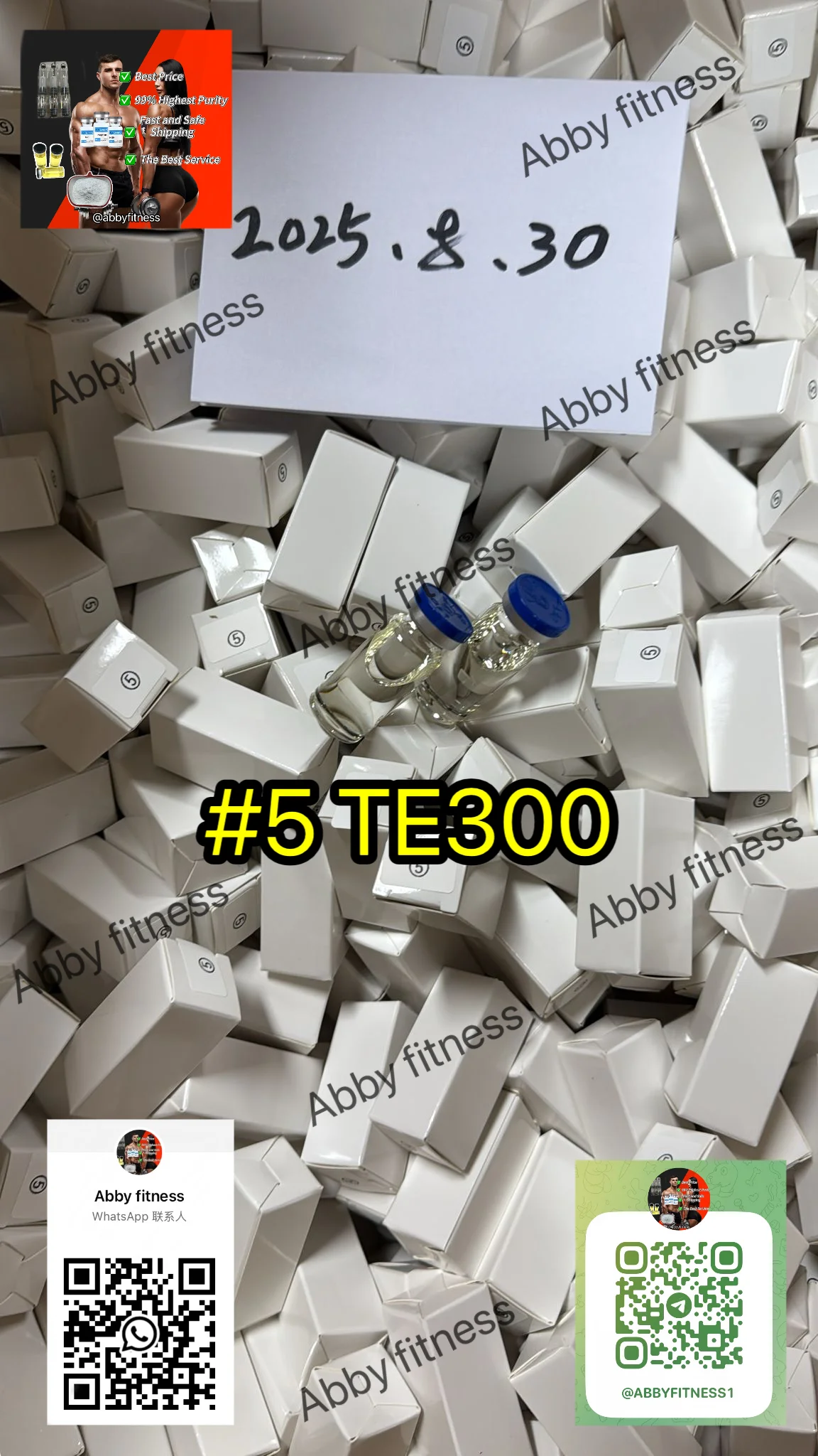 TE300.webp