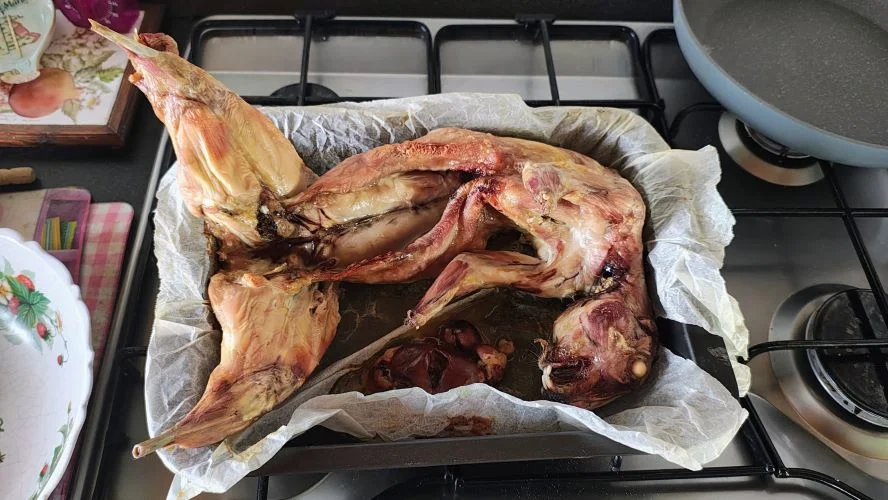 WhatsApp Image 2025-06-10 at 09.26.58_464ab809.webp