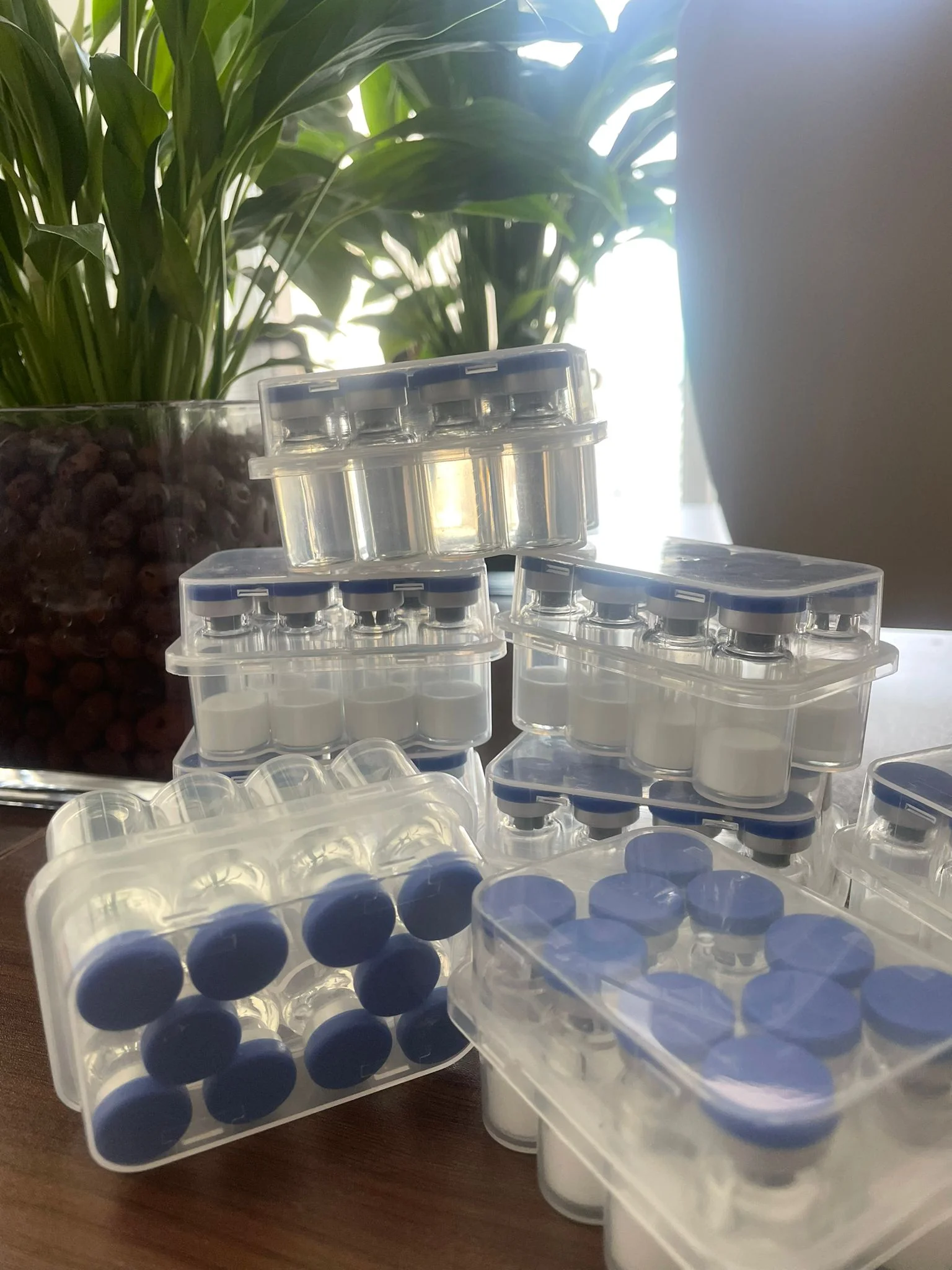 WhatsApp Image 2026-03-24 at 20.21.07.webp