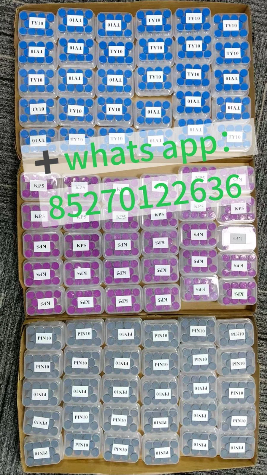 WhatsApp Image 2026-05-22 at 3.06.10 PM.webp