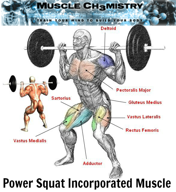 Squatting is essential if you want to build a powerful and massive overall physique.