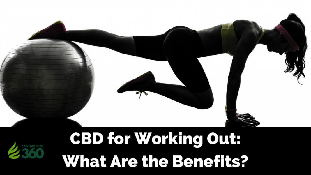 Bodybuilding Benefits Of CBD Oil 