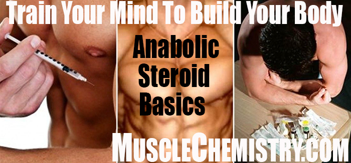 Beginners Steroid Cycle