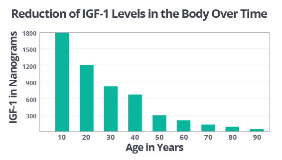 Quality Permanent Muscle Gains With IGF 1 lr3