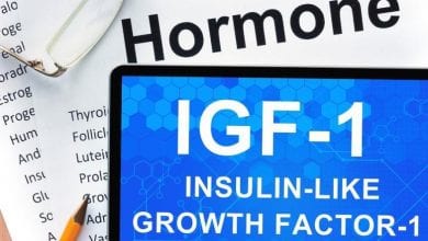 Insulin-like growth factor-1 long r 3