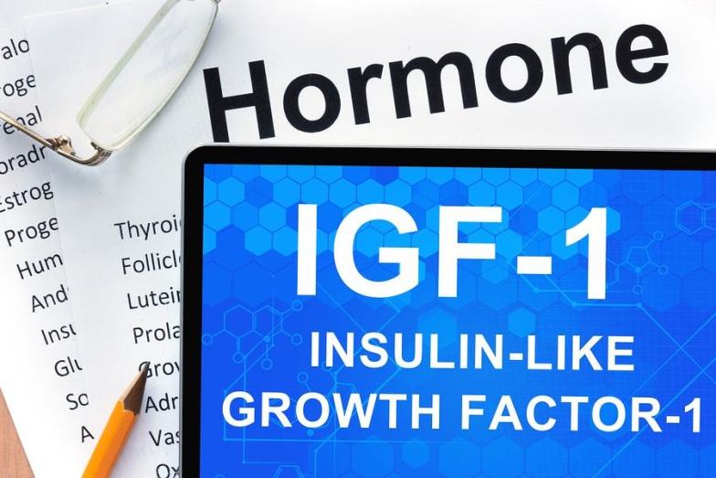 Insulin-like growth factor-1 long r 3