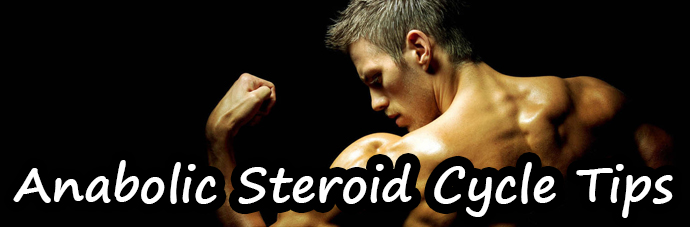 Steroid Cycle Safety