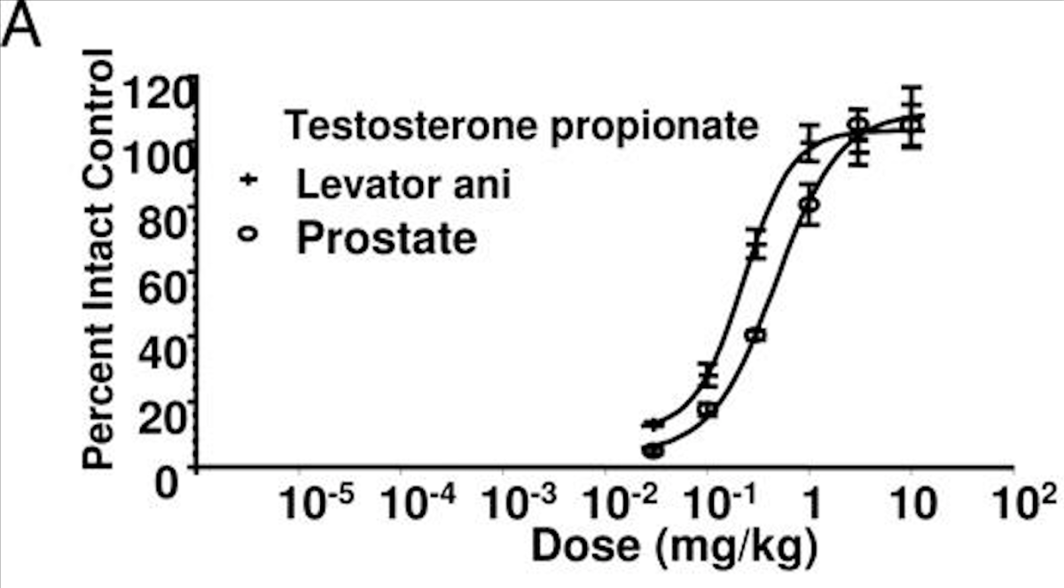 Testosterone Is NOT Neuroprotective, Estrogen Is – Anabolic Androgenic Steroid Neurotoxicity