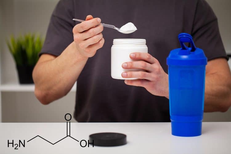 Beta Alanine Beta Alanine