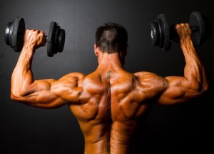 The Half Life Of Trenbolone Acetate, Enanthate And Parabolan