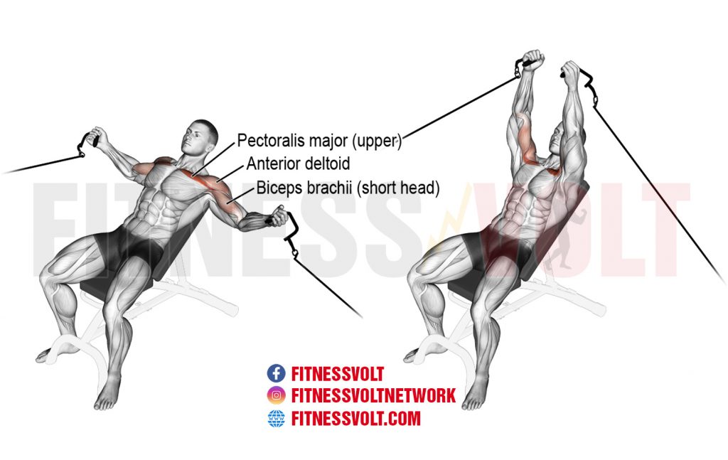 Incline Cable Fly Incline Cable Fly