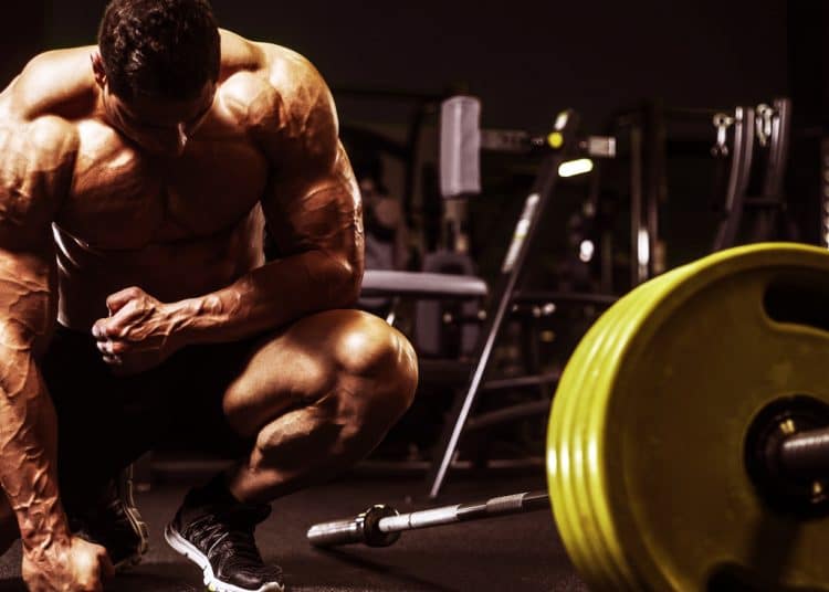 Build muscle Build muscle