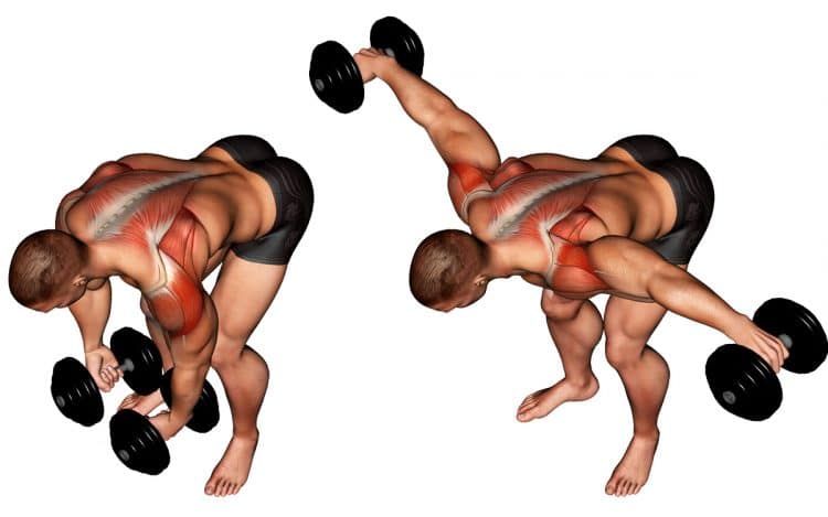 Dumbbell Rear Lateral Raise Shoulders Dumbbell Rear Lateral Raise Shoulders