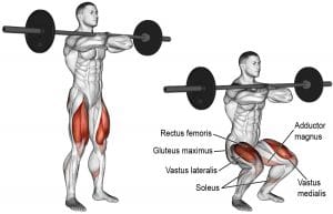 Front Squat Hypertrophy Guide – Build Bigger Legs