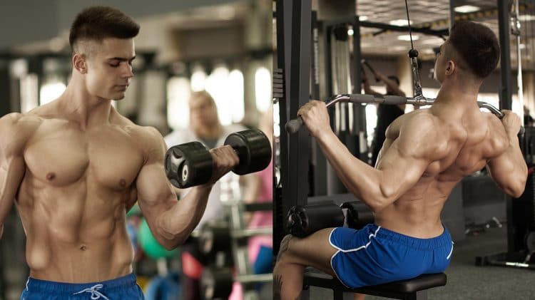 How To Write A Bodybuilding Program Split Exercises