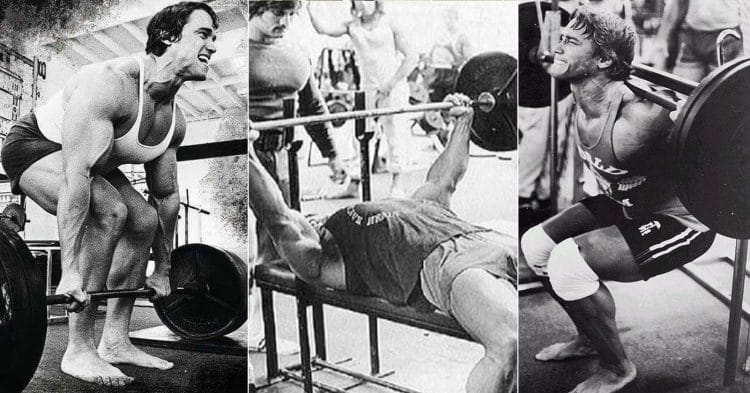 The Ultimate Push-pull-legs Workout Guide Push-Pull-Legs Routine