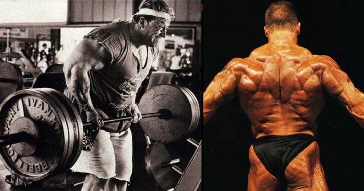 Yates Row Exercise Guide: Muscles Worked, How-to, Benefits, And Variations Yates Row Exercise Guide