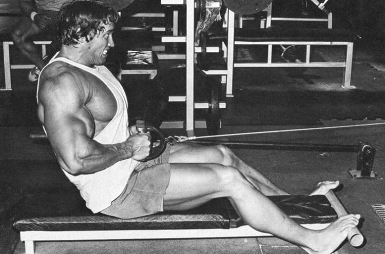 The 7 Best Lats Exercises For Big Lats Seated Cable Rows