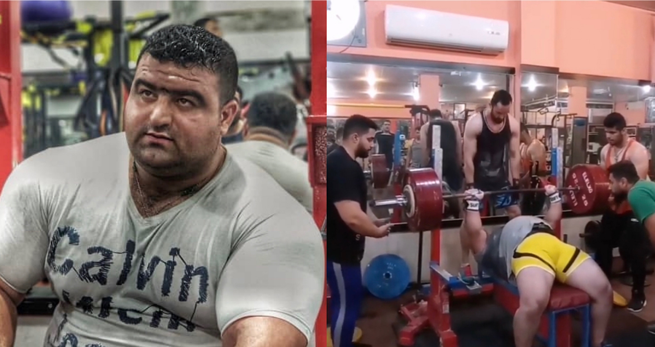 Danial Zamani Benches a Massive 744lbs, Closes in on World Record