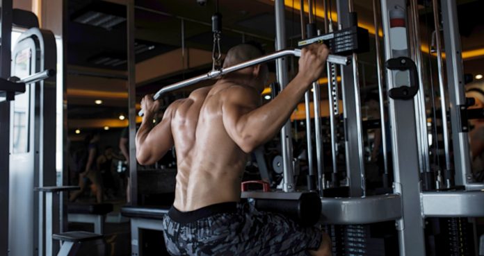 8 Best Back Exercises For A Rock Solid Back And Physique