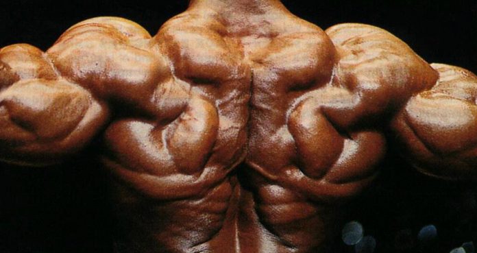 This Is How The P.H.U.L. Routine Will Give You Max Gains