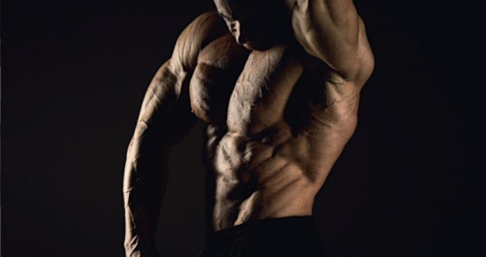 This Comprehensive Powerbuilding Guide Will Help You Develop Strength & Size