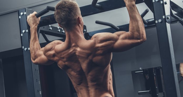 How to Double Your Pull-Ups in 6 Weeks