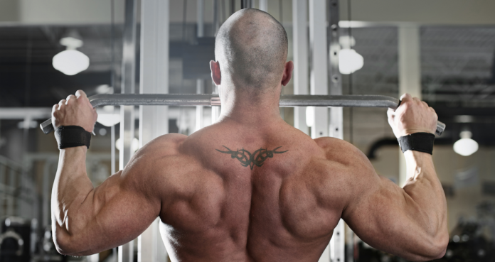 Top 5 Moves for a Totally Shredded Back