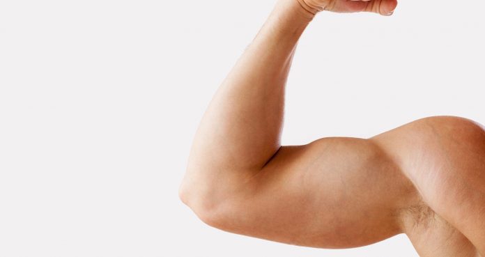 How These Short Head Bicep Exercises Enhance Arm Growth