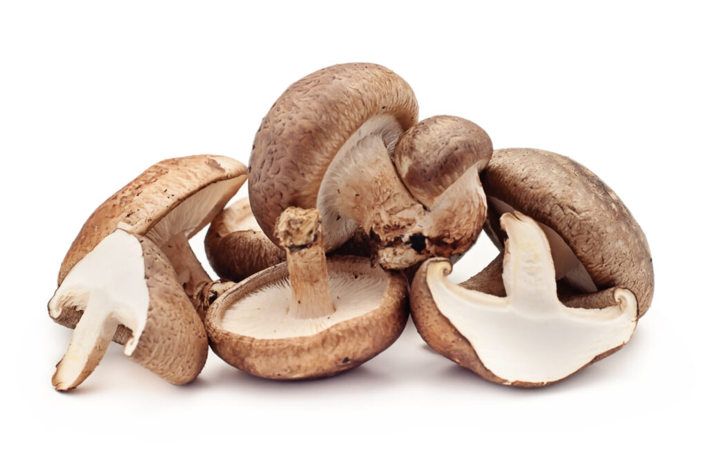 The Shiitake Mushroom For Body Recompositioning & Sports Nutrition