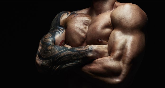 The Quick and Dirty Guide to Clean Cutting and Bulking