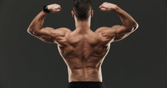 Top 4 Exercises To Unleash A Truly Massive Back