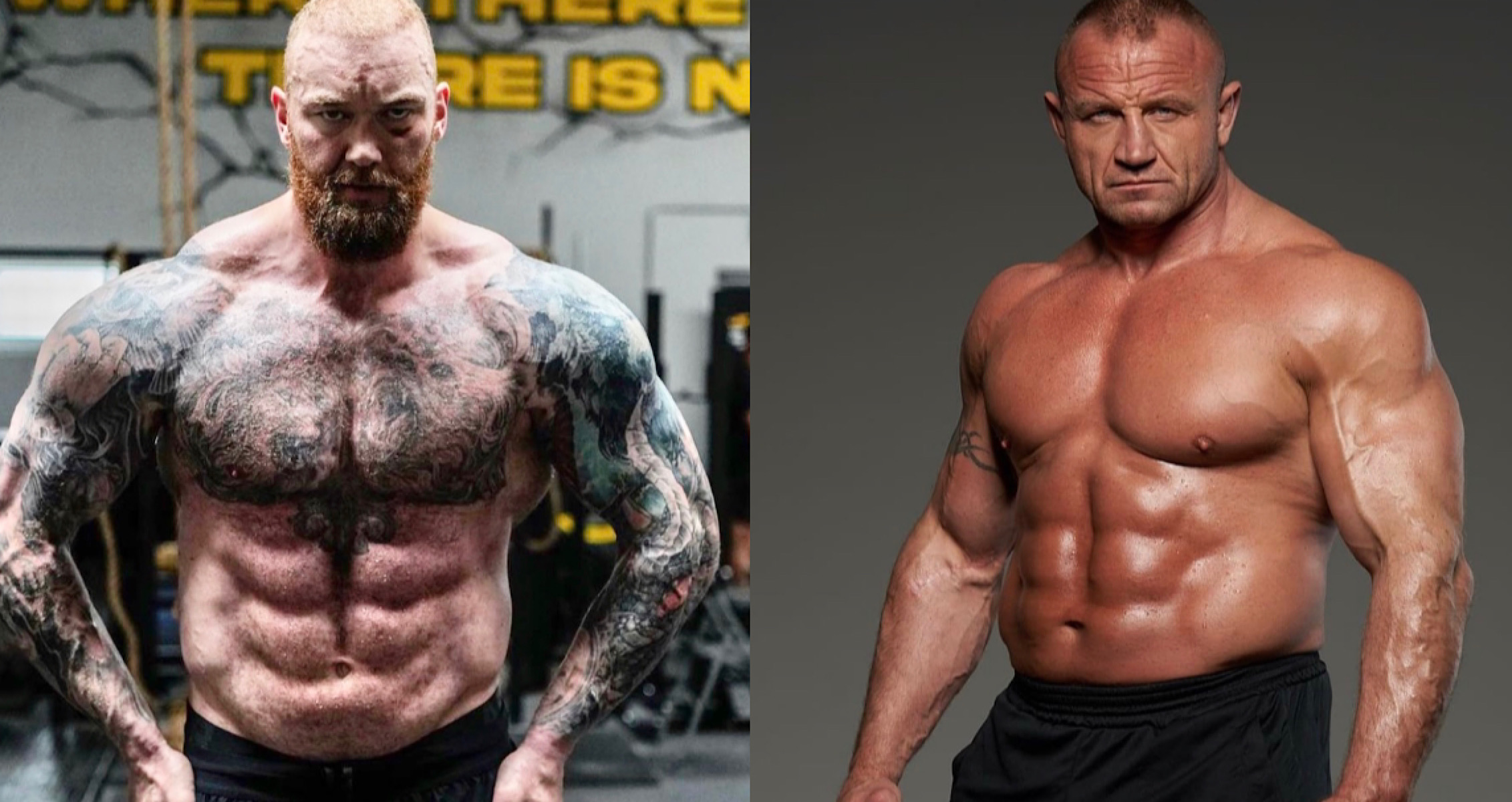 Could We See Mariusz Pudzianowski vs Hafthor Bjornsson in September?