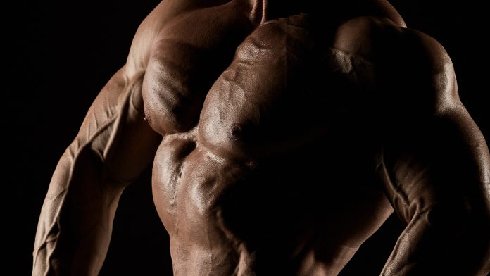 How To Build A Chest Like Jay Cutler