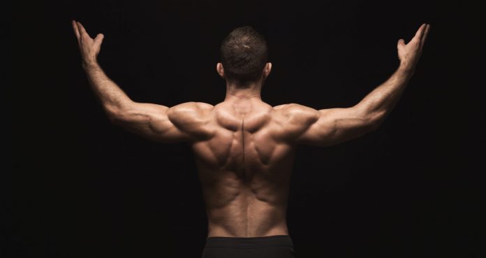 10 Really Effective Mass-Building Back Exercises