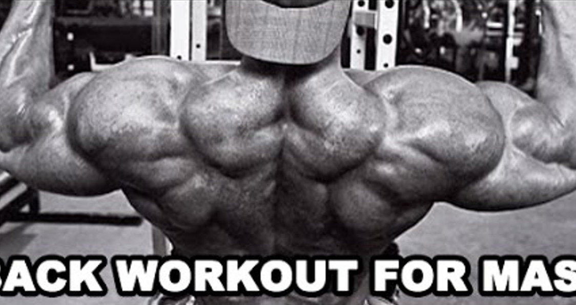 In Depth: How To Workout Your Back For Optimal Mass