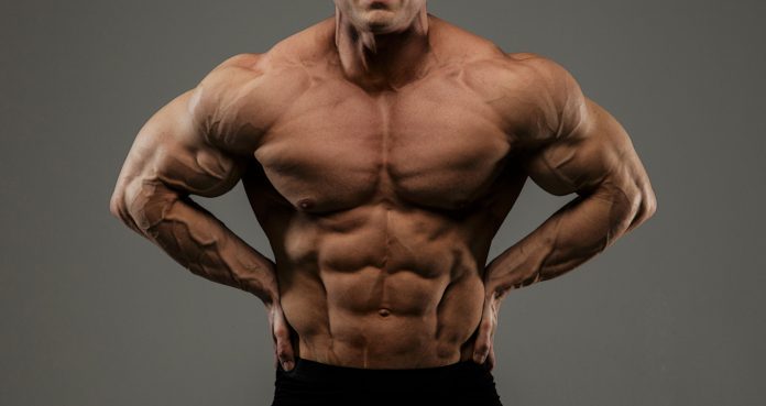 Bodybuilding-Muscle-Anatomy-Explained-696x369-1.jpg