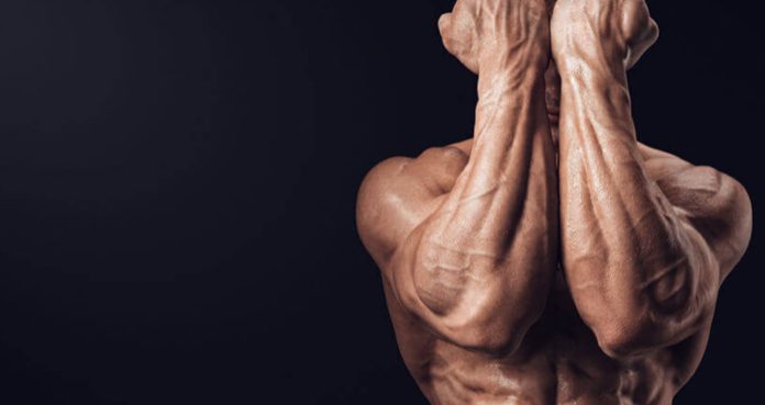 The 4 Most Common Lagging Body Parts and How To Fix Them
