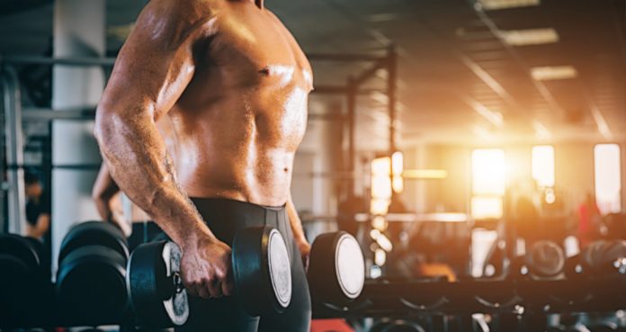 Common Periodization Models And Understanding When To Use Them